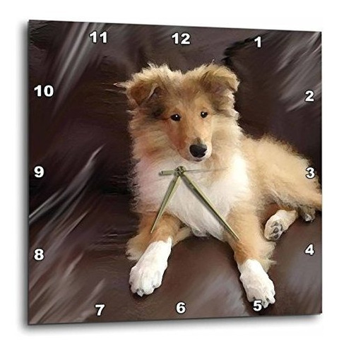 3drose Dpp 4546 2 Rough Collie Puppy-reloj De Pared, 13 Por 