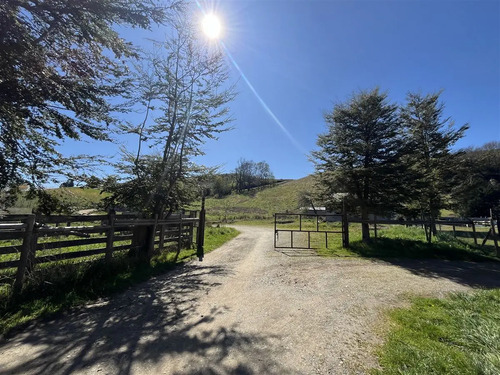 Parcela En Venta En Camino Loncotoro Llanquihue