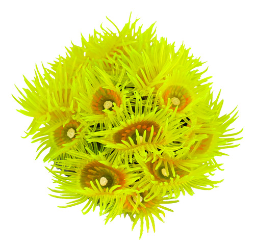 Enfeite De Silicone Soma Coral Zoanthus Amarelo 04