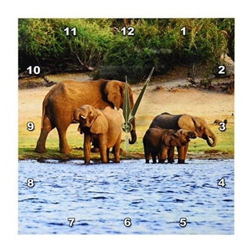 Danita Delimont  Elefantes  Elefante Africano Parque Naciona