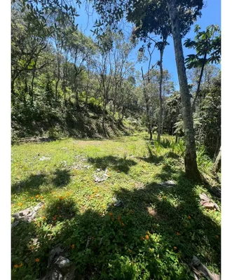 Lote y casalote en venta