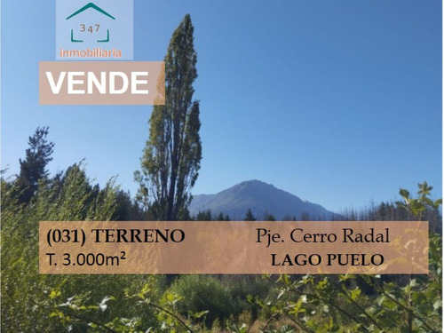 (031) Terreno 3000m2 Cerro Radal - Lago Puelo