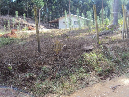 Chácara A Venda No Bairro Centro Em Mandirituba - Pr. - 5255-1