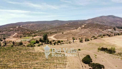 Imagen 2 de 9 de 1 A 5 Hectáreas En Valle De Guadalupe A Espaldas De Casa Fri