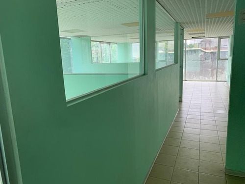 Imagen 8 de 14 de Anzures 450m2, Acondicionada, Privados, Vigilancia, 6 Estaci