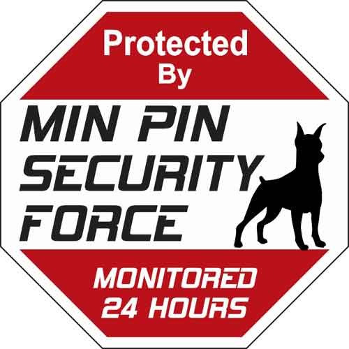 Señal De Seguridad Min Pin Security Force