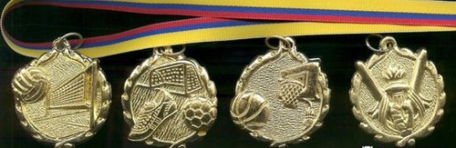Imagen 1 de 1 de Medallas Deportivas Placas Trofeos