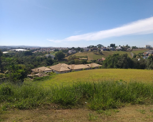 Imagem 4 de 5 de Terreno - Te00781 - 4224797
