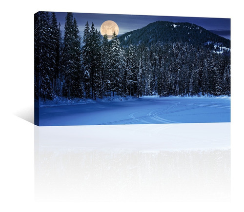 Cuadro Decorativo Naturaleza Canvas Bosque Noche Nieve Luna