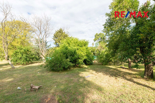 Imagen 14 de 30 de Lote 600 M2 Venta Moreno Bo. Semicerrado