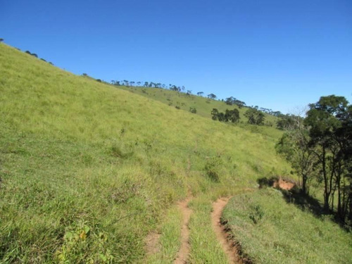 Imagem 4 de 10 de Fazenda Com 164 Alqueires Mineiros, Zona Rural, Quatis - Rj - 9981