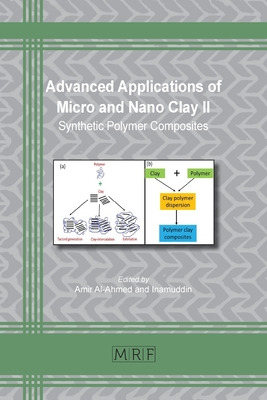 Libro Advanced Applications Of Micro And Nano Clay Ii: Sy...
