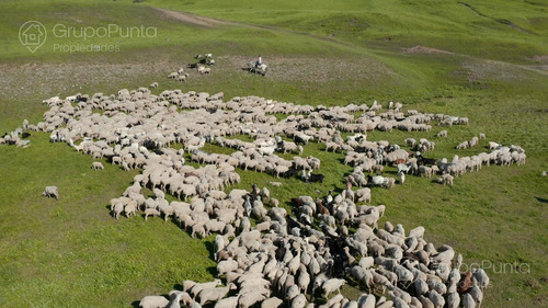 Campo En Arrendamiento - PaysandĂș