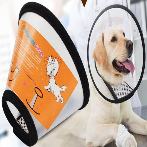 Collar Isabelino Para Perros Y Gatos En Tamaños Color Transparente Tamaño Del Collar 2