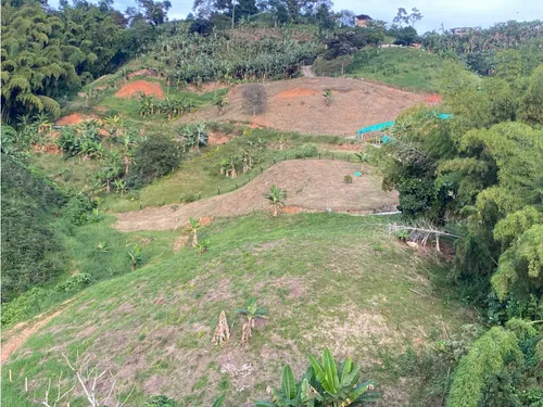 Lotes En Venta Desde $60.000.000 En Palestina Caldas | Venta Lotes