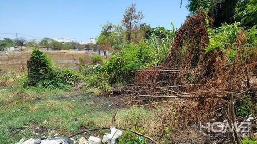 Imagem 6 de 14 de Terreno À Venda, 1290 M² Por R$ 3.490.000,00 - Recreio Dos Bandeirantes - Rio De Janeiro/rj - Te0039