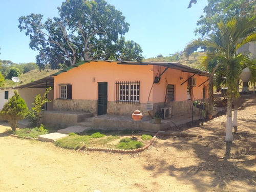 Imagen 28 de 30 de Se Vende Granja Cojedes Att-134 04125067379 04244900499
