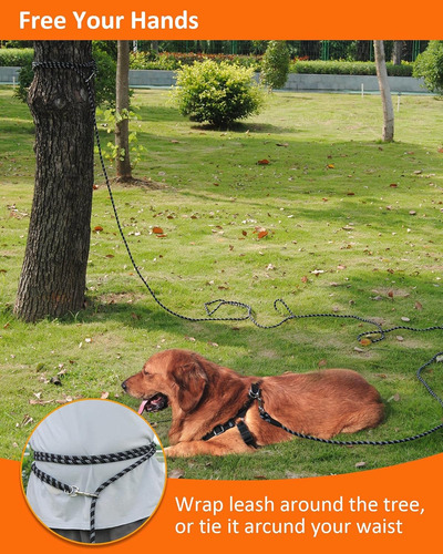 Correa Para Perro 5 Metros Con Hilos Reflectantes De Nylon