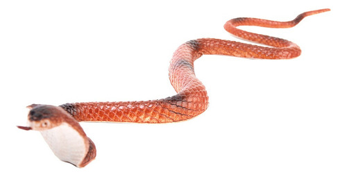 Juguete De Truco De Simulación De Modelo De Serpiente Cobra