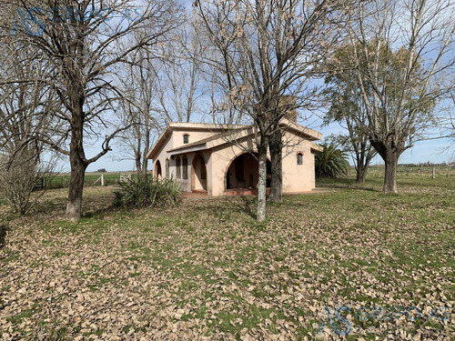 Excelente Campo Agricola De 62,73 Has.