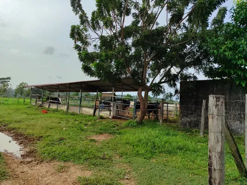 Em Finca En Venta En La Fría
