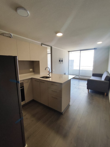 Arriendo Departamento 1 D 1 B Bod Y Terraza Semi Amoblado