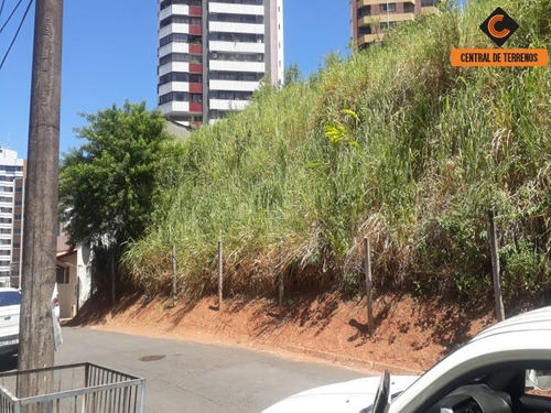 Imagem 8 de 11 de Terreno Para Empreendimentos - Te00431 - 69440812