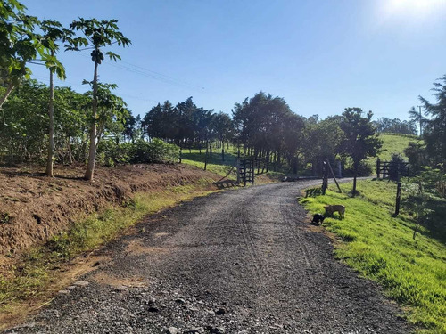 Imagem 12 de 29 de Terreno À Venda, Vila Nova Itapetininga, Itapetininga, Sp - Sp - Te0007_dcoe