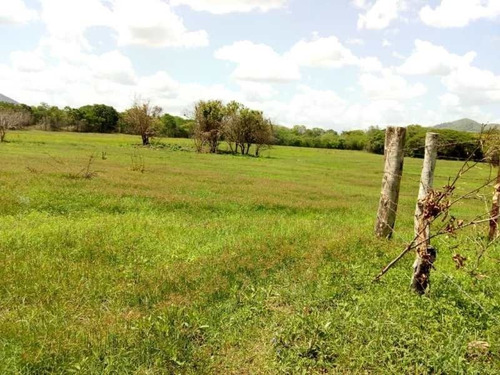 Imagen 4 de 15 de Finca En Venta. Gran Oportunidad.