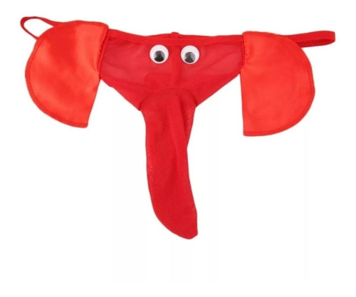 Tanga  Elefante  Hombre