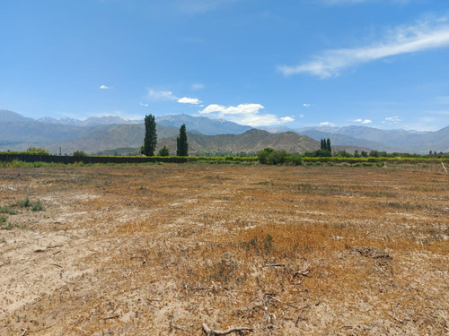 Vende Terreno, Santa Marìa