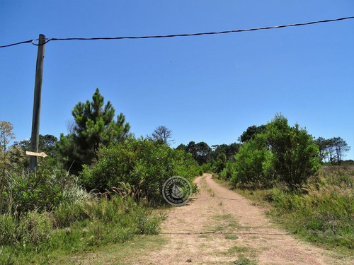 Imagen 3 de 6 de Terrenos En Zona Bosque, Varias Opciones En Punta Del Diablo