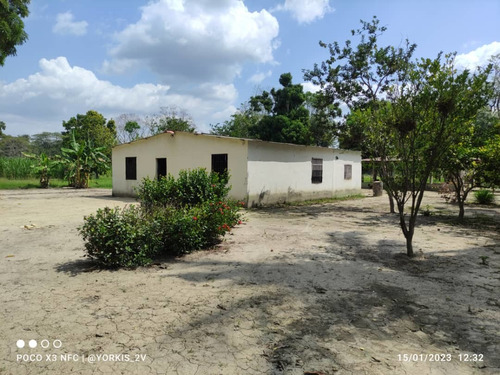 Imagen 4 de 13 de Finca En Venta En El Tambor, Mun. Obispos, Barinas