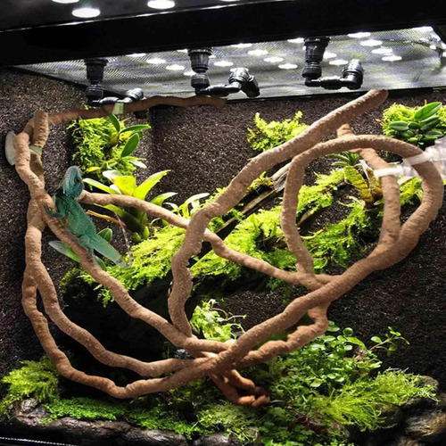 3 Terrario Reptiles Enredaderas Selva Escalada Style C