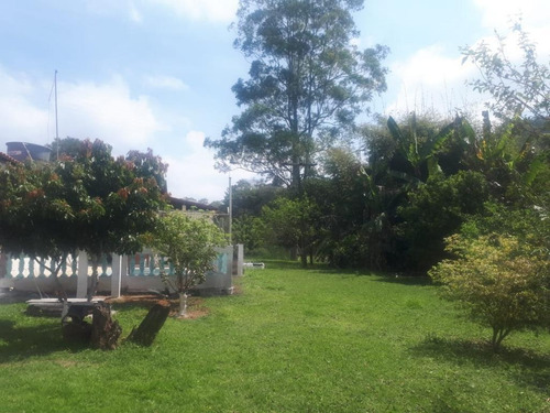 Excelente Chácara Com 3.600 Metros Em Santo Izabel !!! - Ch0007