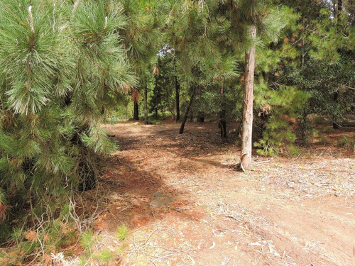 Lote En Venta Sendero I . Costa Esmeralda