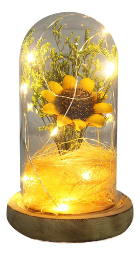 Flores Secas De Girasol Banquete En Cúpula De Vidrio Decorac
