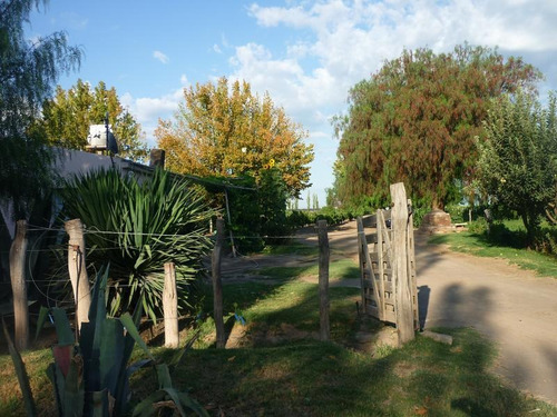 Imagen 9 de 24 de Finca Organica En San Rafael, Mendoza , Ideal Inversor!!