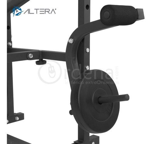 Imagen 4 de 8 de Banco De Pesas Altera Multiposiciones Kit De Discos Gym