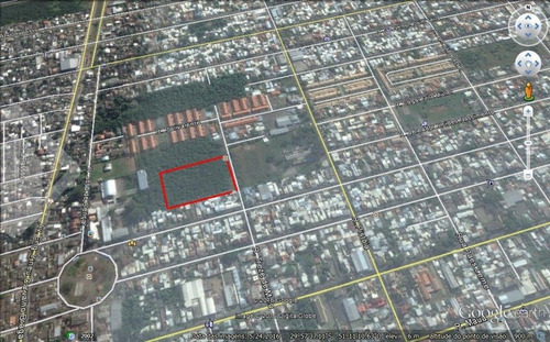 Imagem 5 de 5 de Terreno - Rio Branco - Ref: 207096 - V-207096