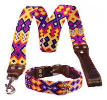 Comprar Pack De 10 Collares Y Correas Para Perros Xg 60-65cm