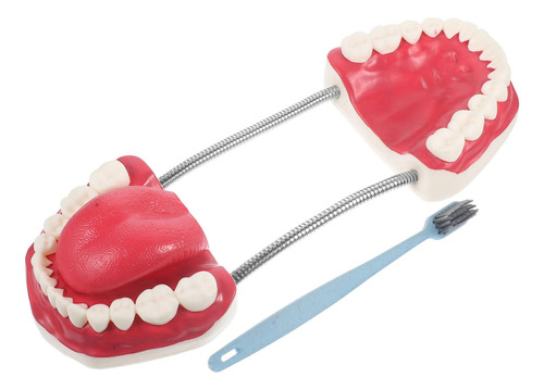 Cepillo Dental De Demostración Marca Sin Especificar Modelo Color