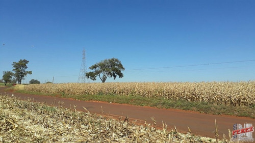 Imagem 16 de 30 de Chácaras_sítios_fazendas Para Venda - 13650.3266