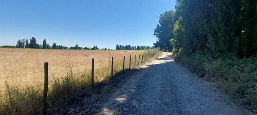 18 Hec Oportunidad Se Vende Terreno Agrícola Retiro Talca