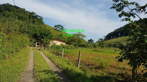 Imagem 16 de 30 de Juquiá/sitio Com Pupunha/ Pasto E 05 Lagos Para Pesqueiro - 04857 - 34121206