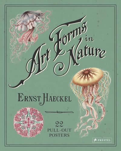 Libro Ernst Haeckel: Art Forms In Nature: 22 Pull-out Pos...