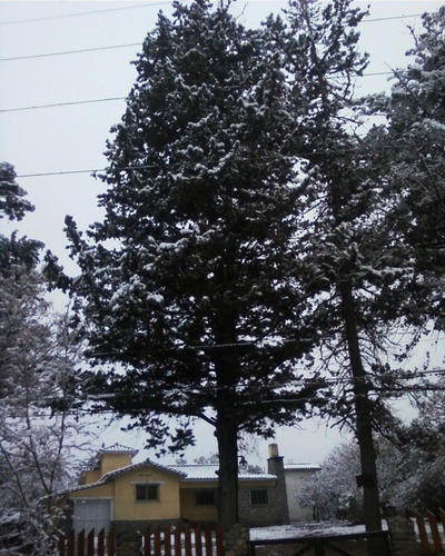 Imagen 13 de 30 de Chalet En Venta