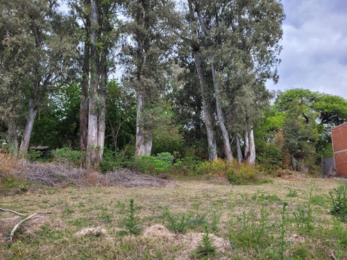 Terreno Venta La Calera