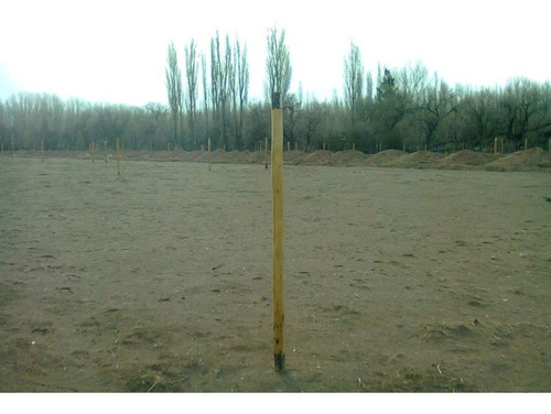 Imagen 2 de 15 de Terreno En Malargue Mendoza!