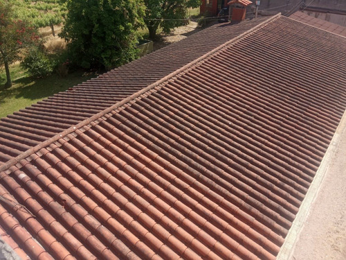 Imagen 3 de 14 de Excelente Chacra Con Viñedos Varias Cepas - Toledo Chico